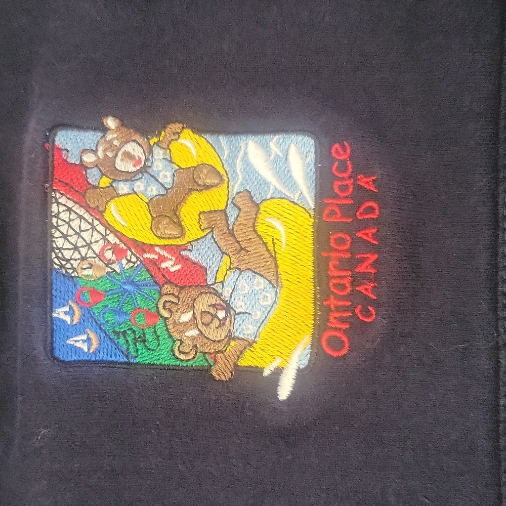 Vtg Ontatrio Place Kids Hoodie - Picture 2 of 6